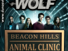 Cartel de Madera BEACON HILLS ANIMAL CLINIC (TEEN WOLF)