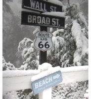 DUNA´S VINTAGE, NEVADA 2013