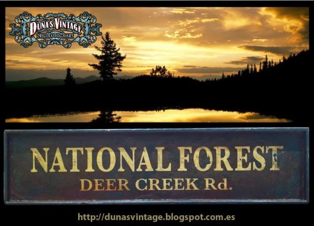 NATIONAL FOREST, Duna´s Vintage.