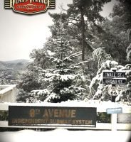 Duna´s Vintage Nevada 2015