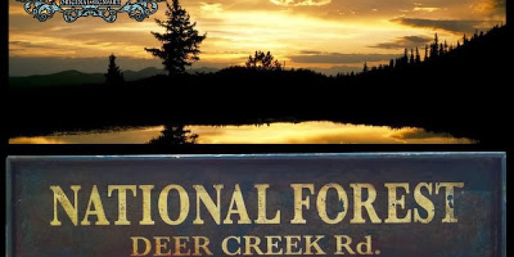 NATIONAL FOREST, Duna´s Vintage. For Sale 100€.