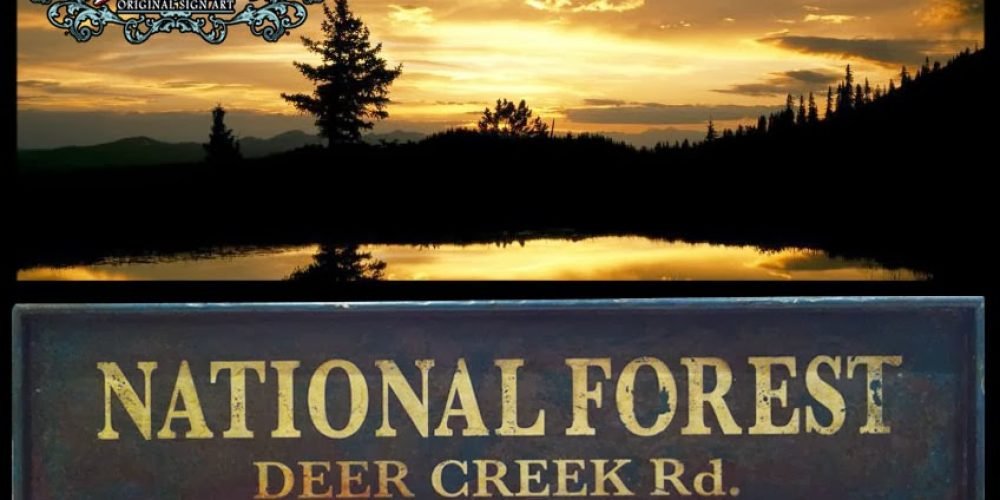 NATIONAL FOREST, Duna´s Vintage.