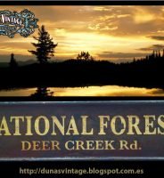 NATIONAL FOREST, Duna´s Vintage.