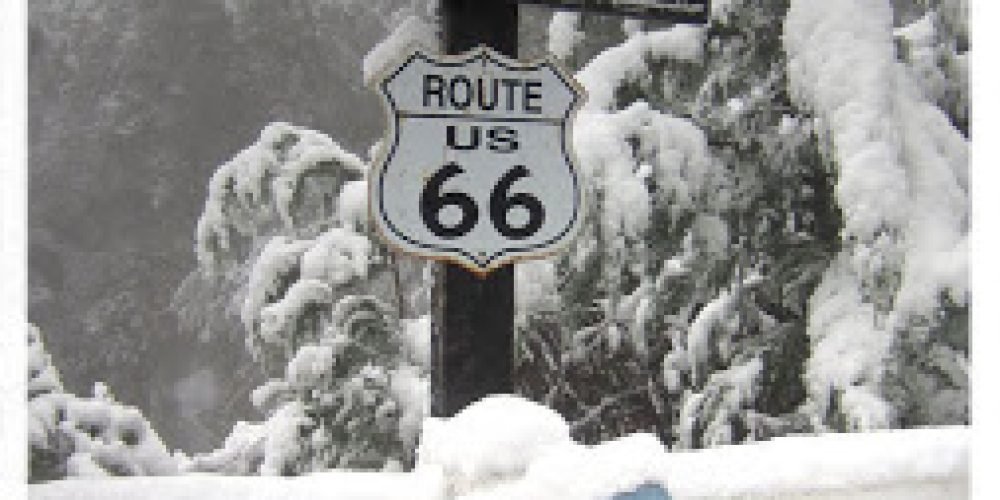 DUNA´S VINTAGE, NEVADA 2013